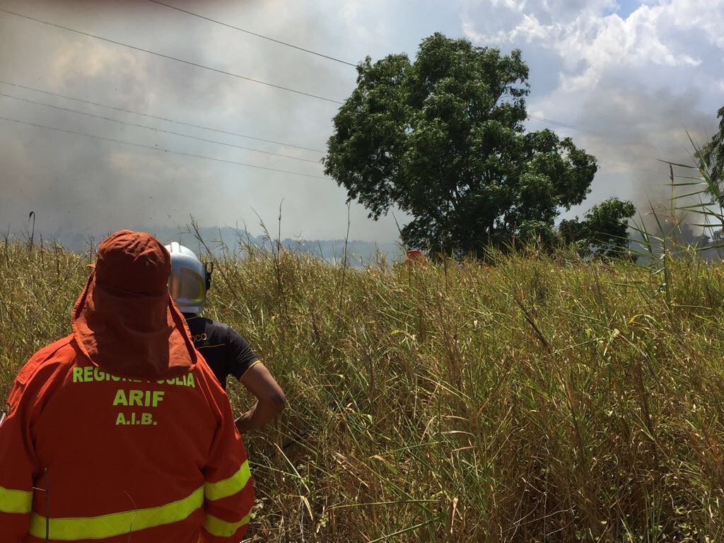 Incendi a Castro e Torre Guaceto