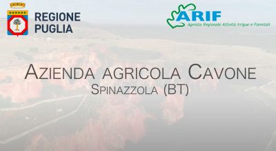 Azienda Cavone