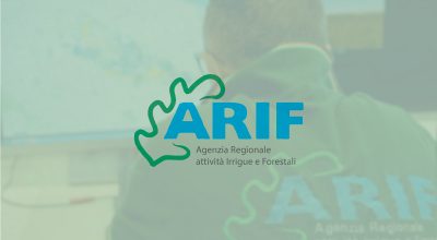 Procedura selettiva interna, per titoli ed esami