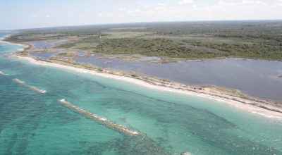 Il 22 settembre a Le Cesine WWF e ARIF per la tutela della biodiversità