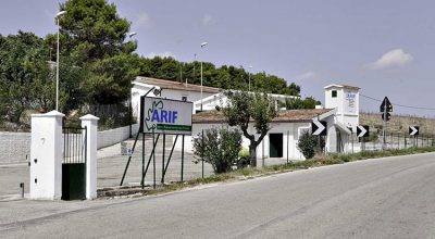 Passeggiata naturalistica sull’Alta Murgia