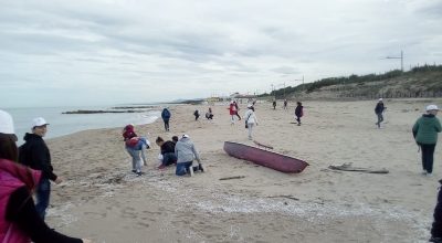 Vivai Aperti – Torre Fantine – Marina di Chieuti (Fg)