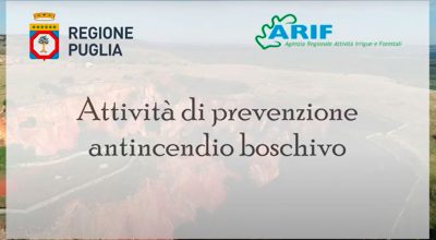Attività di preparazione per la campagna Antincendio boschivo 2020