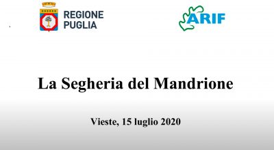 Il Presidente Emiliano in visita alla storica segheria del Mandrione a Vieste