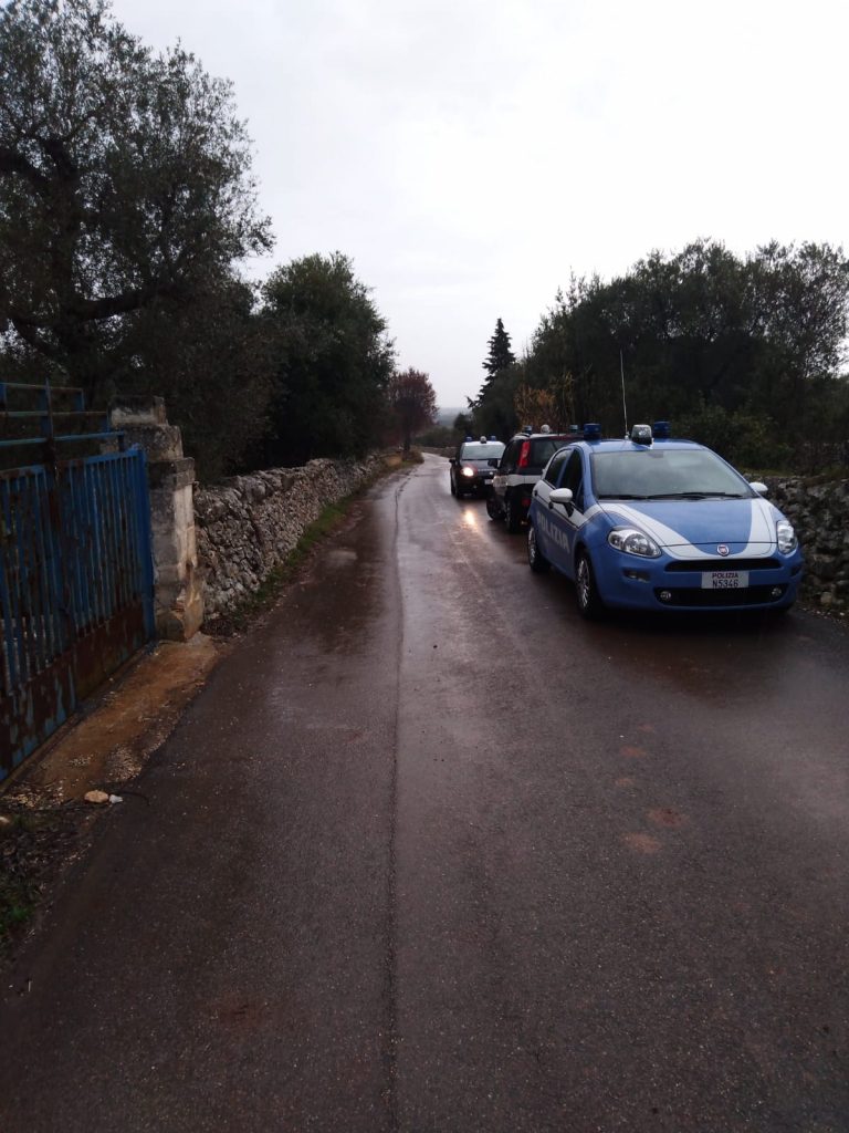 Xylella, abbattuti 13 ulivi a Cisternino