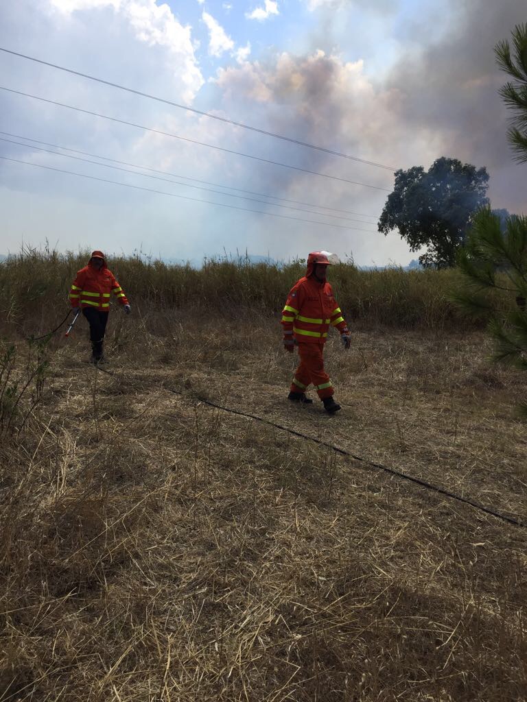 Roghi a Parco Cillarese nel brindisino