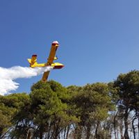 Bosco comunale “Difesa Grande” di Gravina, ci sarà un presidio dell’Arif