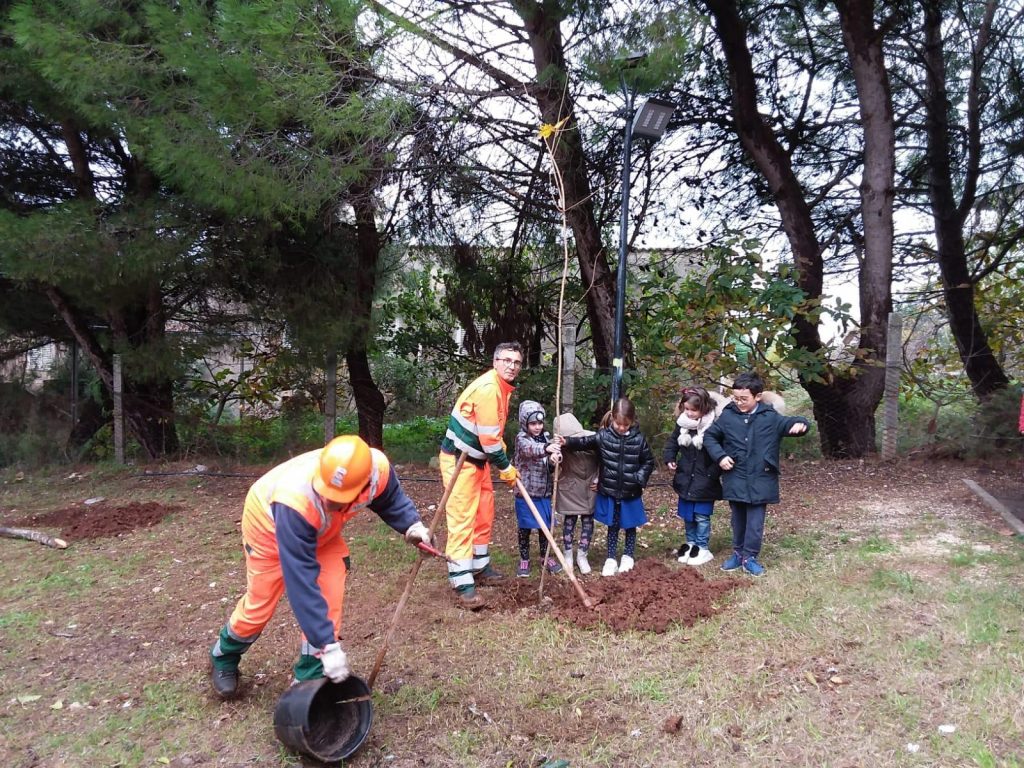 Giornata nazionale degli alberi, l’impegno dell’Arif nella tutela del patrimonio forestale
