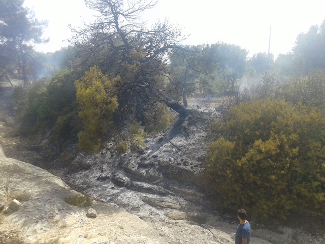Situazione incendi nel Salento