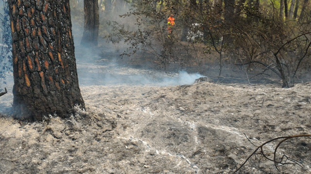 Incendio a Castellaneta Marina