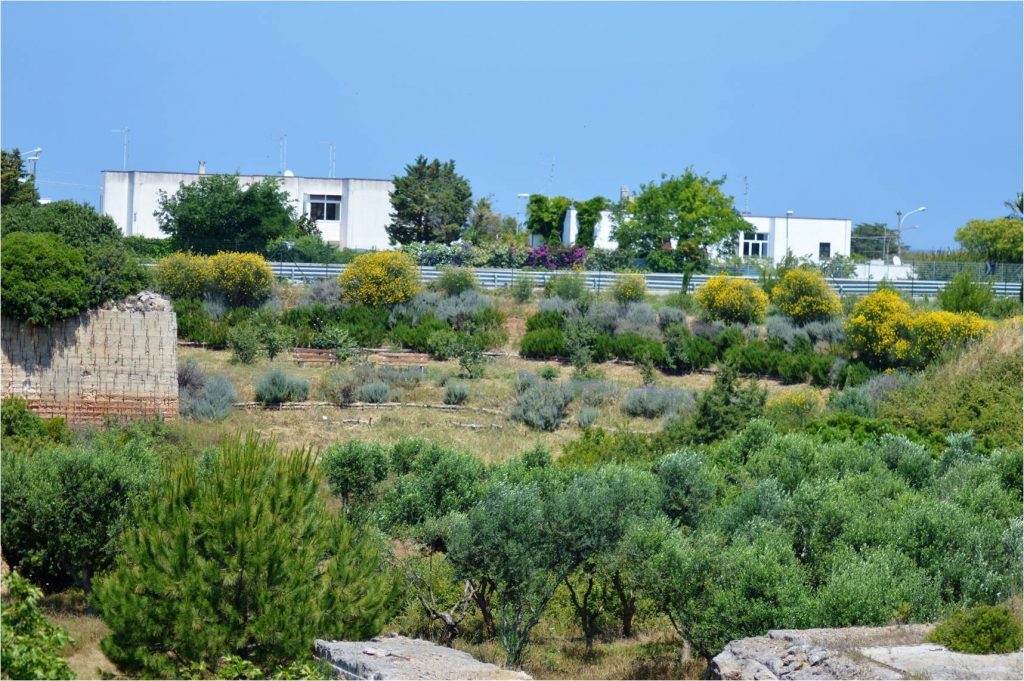 Cava di Pezza Caldara rinasce dopo i lavori dell’Arif