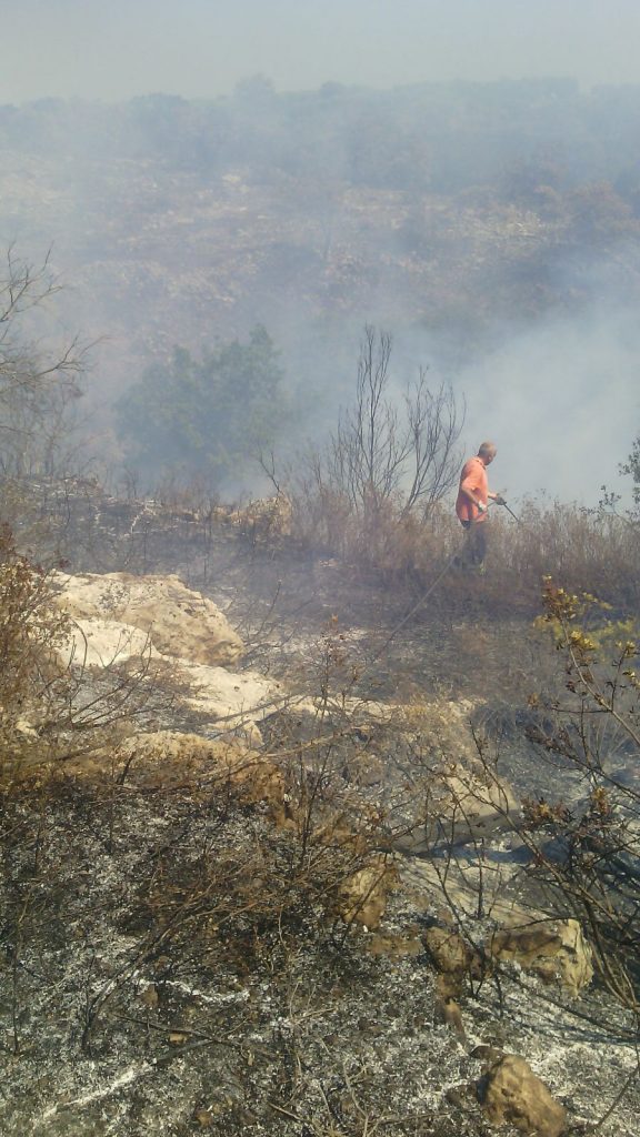 Ginosa, 4 incendi in due settimane