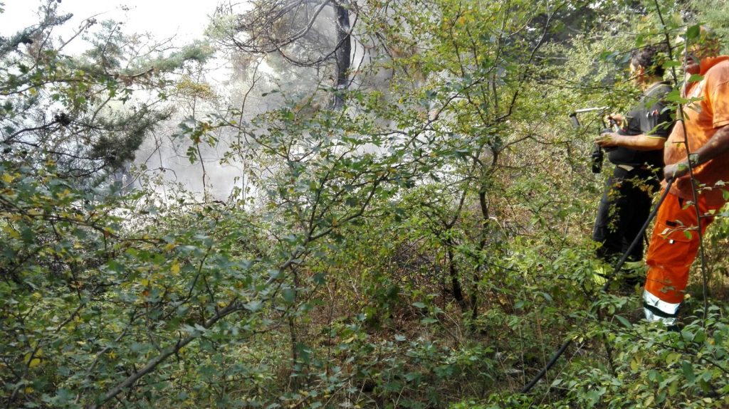 Incendio nel bosco di Accadia