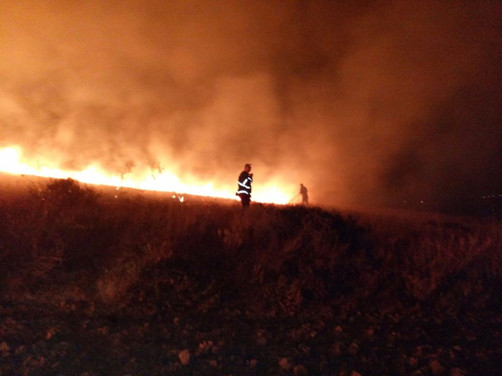 Spinazzola, distrutti dalle fiamme 40 ettari di pascolo