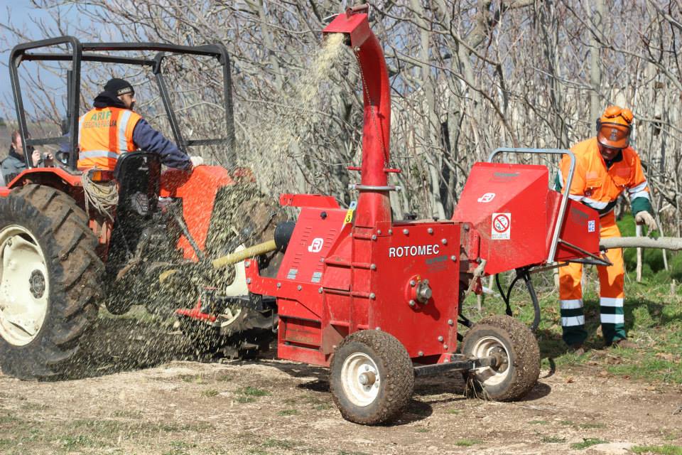 Tecniche di controllo di Alianthus altissima nel Parco Nazionale dell’Alta Murgia