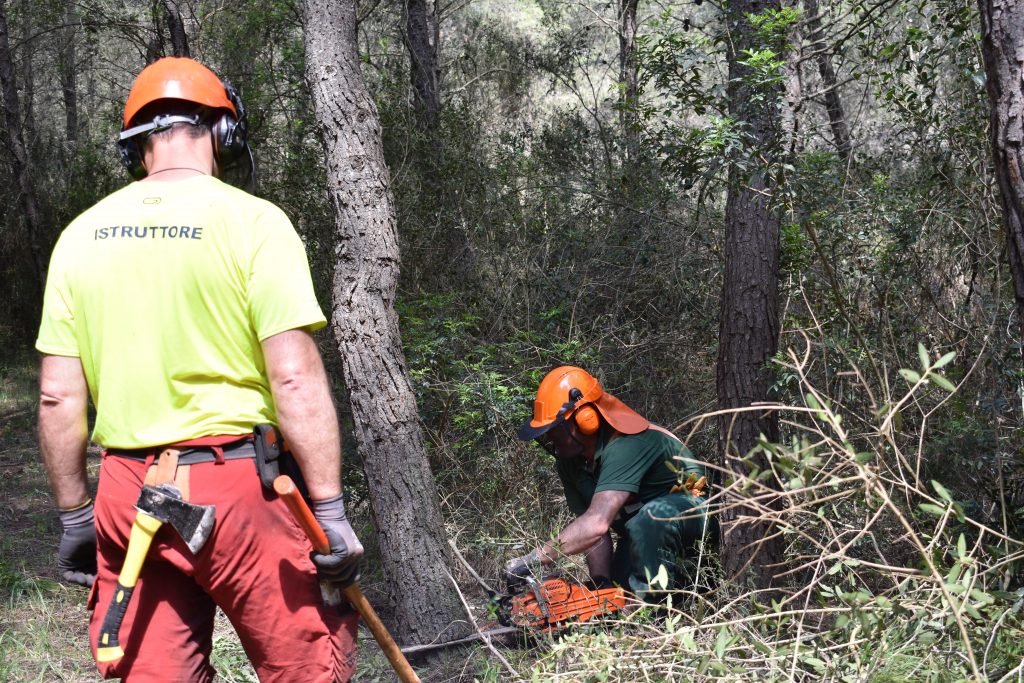 Utilizzo della motosega in sicurezza