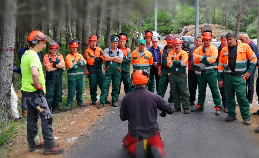 Corso sull’utilizzo della motosega in sicurezza
