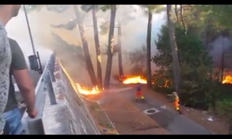 Incendi a Peschici, proseguono operazioni di bonifica