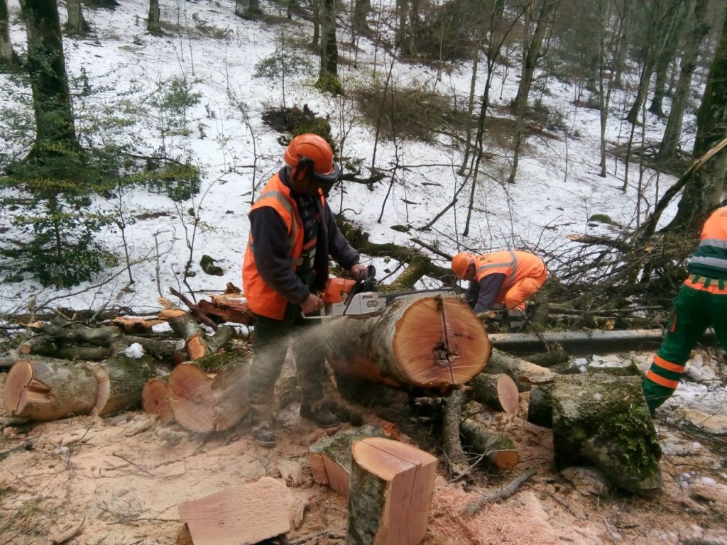 Foresta Umbra raccolta legna dopo nevicate