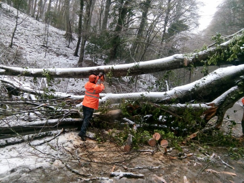 Neve di primavera. Interventi dell’Arif sul Gargano