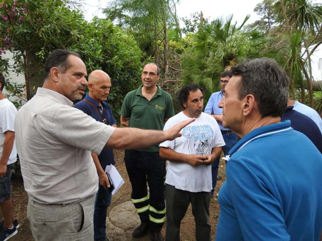 Pini secolari abbattuti dal maltempo a Castellaneta Marina. Interviene l’Arif