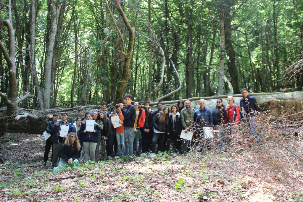 Primi studenti nel Martelloscopio della Faggeta di Foresta Umbra