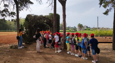 CON “Biodiversità in rete”, RIPARTE L’ANNO SCOLASTICO – L’AUGURIO DEL D.G. FERRARO